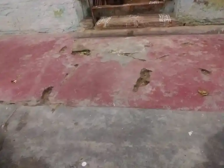 Arulmigu Agneeswara Swamy Temple, Thirukkatupalli - 613104 அருள்மிகு அக்னீஸ்வரசுவாமி திருக்கோயில், Thirukkatupalli - 613104, Thanjavur - Ancient Temple Architecture and History Image 8