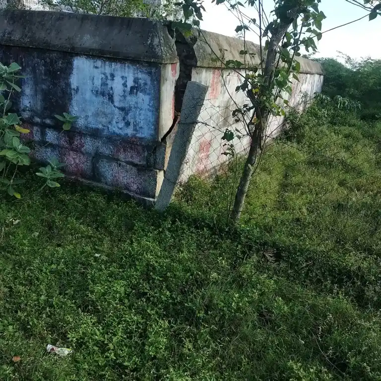 Arulmigu Agnipureeswarar Temple, Poonayiruppu - 612801 அருள்மிகு அக்னீபுரீஸ்வரர் திருக்கோயில், ஆலங்குடி, Poonayiruppu - 612801, Thiruvarur - Ancient Temple Architecture and History Image 6