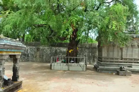 Arulmigu Agnipureeswarar Temple, Vedaraniyam - 614810 அருள்மிகு அக்னிபுரீஸ்வரர் திருக்கோயில், வேதாரண்யம் - 614810, Nagapattinam - Ancient Temple Architecture and History Image 5