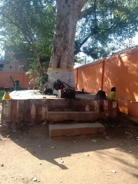 Arulmigu Agobhila Narasingaperumal Temple, Nilakottai - 624208 அருள்மிகு அகோபில நரசிங்கப்பெருமாள் திருக்கோயில், நிலக்கோட்டை - 624208, Dindigul - Ancient Temple Architecture and History Image 17