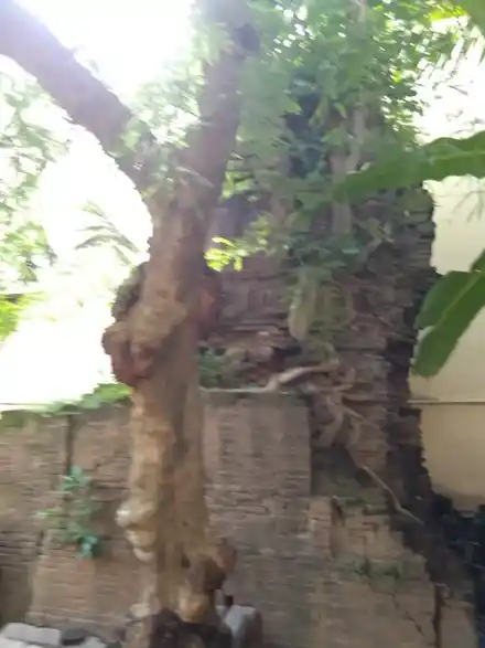 Arulmigu Agora Veerapathiraswamy Temple, Mayiladuthurai - 609001 அருள்மிகு கார வீரபத்திரசுவாமி திருக்கோயில், Mayiladuthurai - 609001, Mayiladuthurai - Ancient Temple Architecture and History Image 3