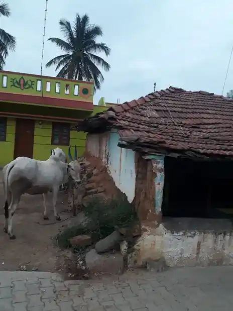 Arulmigu Agrahaaram Mariamman Temple, Unisenatham - 635118 அருள்மிகு அக்ரஹாரம் மாரியம்மன் திருக்கோயில், Unisenatham - 635118, Krishnagiri - Ancient Temple Architecture and History Image 2