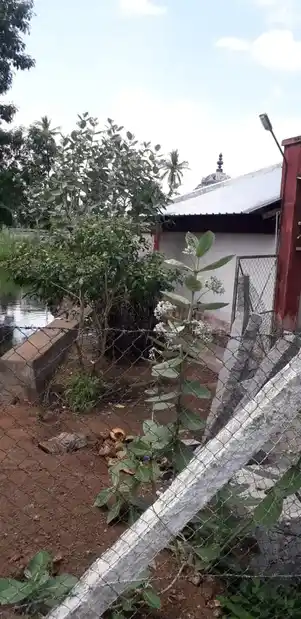 Arulmigu Agrahara Pillayar Temple, Nerur, Manmangalam Taluk - 639004 அருள்மிகு அக்ரஹார பிள்ளையார் திருக்கோயில், நெரூர், மண்மங்களம் வட்டம் - 639004, Karur - Ancient Temple Architecture and History Image 2