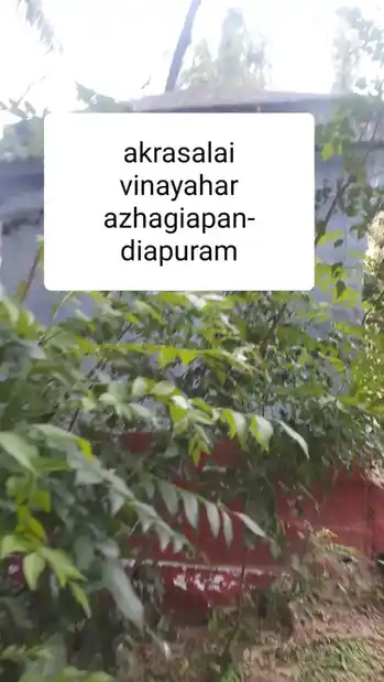 Arulmigu Agrasalai Vinayagar Temple, Near Madavilagam Panchayath Office, Azhaiyapandiyapuram - 629851 அருள்மிகு அக்ரசாலை விநாயகர் திருக்கோயில், Near Madavilagam Panchayath Office, Azhaiyapandiyapuram - 629851, Kanyakumari - Ancient Temple Architecture and History Image 4