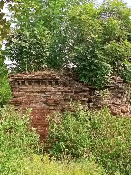 Arulmigu Agtheswarar Temple, Thavasi - 604401 அருள்மிகு அகஸ்தீஸ்வரர் திருக்கோயில், Thavasi - 604401, Tiruvannamalai - Ancient Temple Architecture and History Image 2