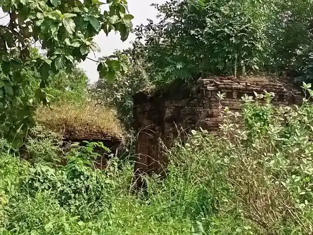 Arulmigu Agtheswarar Temple, Thavasi - 604401 அருள்மிகு அகஸ்தீஸ்வரர் திருக்கோயில், Thavasi - 604401, Tiruvannamalai - Ancient Temple Architecture and History Image 4