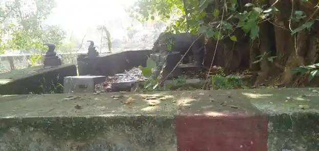 Arulmigu Aiyannar Temple, Near Pond, Karijancode - 629180 Arulmigu Aiyannar Temple, Near Pond, Karijancode - 629180, Kanyakumari - Ancient Temple Architecture and History Image 4