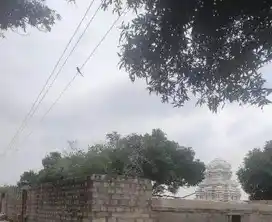 Arulmigu Akastheeswarar Temple, Oonaiyur, Thirumayam Taluk - 622102