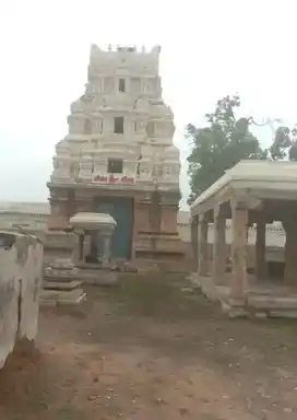 Arulmigu Akastheeswarar Temple, Vellanur, Kulathur Taluk - 622501 அருள்மிகு அகஸ்தீஸ்வரர் திருக்கோயில், வெள்ளனூர், குளத்தூர் வட்டம் - 622501, Pudukkottai - Ancient Temple Architecture and History Image 2