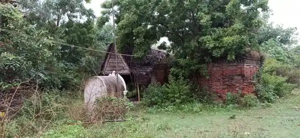 Arulmigu Akatheswarar Temple, Nagagudi - 610105 அருள்மிகு அகஸ்¬¬¬தீஸ்வரர் திருக்கோயில், Nagagudi - 610105, Thiruvarur - Ancient Temple Architecture and History Image 4