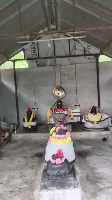 Arulmigu Akesthyeswar And Visvnatharswamy Temple, Perumpugaloor - 610105 Arulmigu Akesthyeswar And Visvnatharswamy Temple, பெரும்புகளூர் - 610105, Thiruvarur - Ancient Temple Architecture and History Image 3