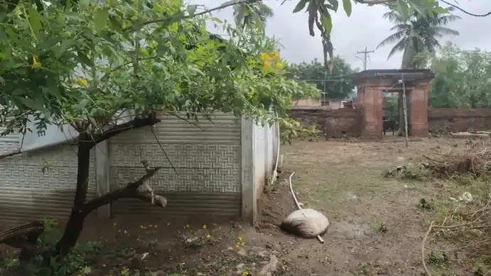 Arulmigu Akesthyeswar And Visvnatharswamy Temple, Perumpugaloor - 610105 Arulmigu Akesthyeswar And Visvnatharswamy Temple, பெரும்புகளூர் - 610105, Thiruvarur - Ancient Temple Architecture and History Image 5