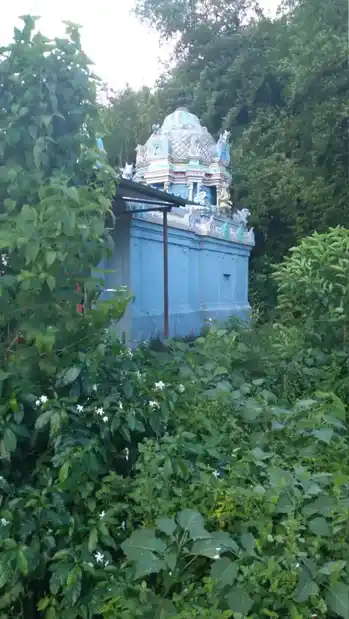 Arulmigu Akilandeeswariamman Samedha Aagastheeswarer Temple, Kukur - 612602 அருள்மிகு அகிலாண்டேஸ்வரி அம்மன் சமேத அகத்தீஸ்வரர் திருக்கோயில், Kukur - 612602, Thanjavur - Ancient Temple Architecture and History Image 3