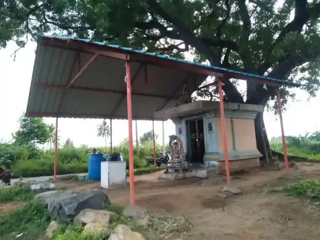 Arulmigu Akkarai Kavi Vinayagar Temple, Viraganur - 636116 அருள்மிகு அக்கரை கவி விநாயகர் திருக்கோயில், Viraganur - 636116, Salem - Ancient Temple Architecture and History Image 5