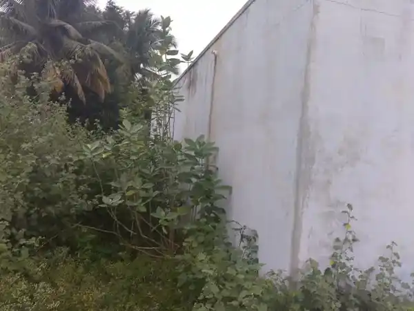 Arulmigu Akku Marriyamman Temple, Kargore - 636808