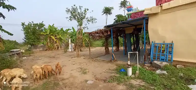 Arulmigu Akkumariamman Temple, Devarakundani - 635121 Arulmigu Akkumariamman Temple, Devarakundani - 635121, Krishnagiri - Ancient Temple Architecture and History Image 19