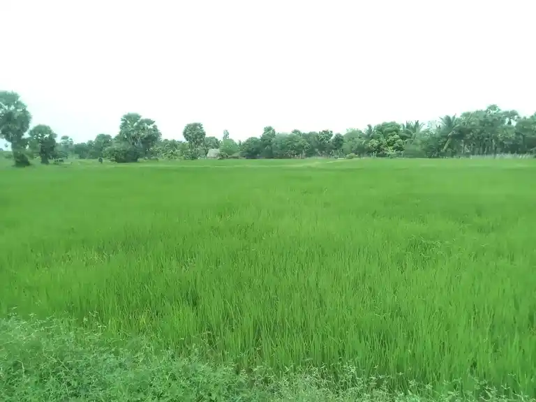 Arulmigu Akopila Madam, Keeranur - 614620