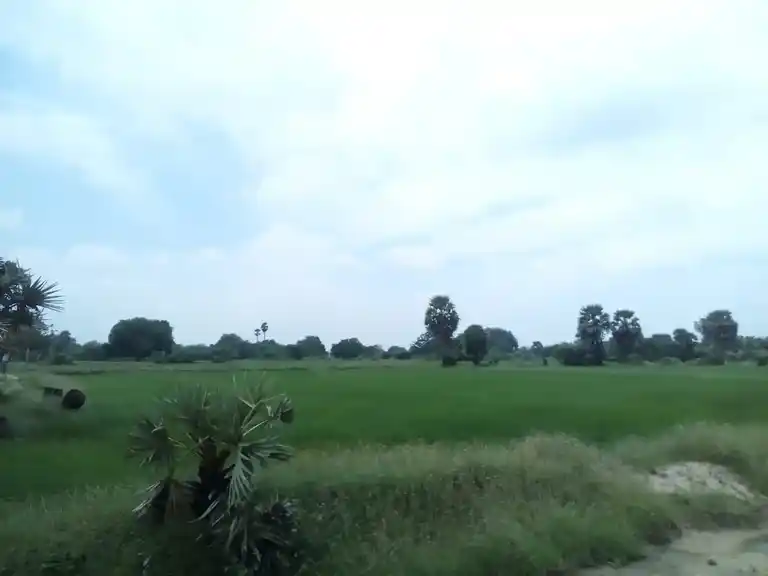 Arulmigu Akopila Madam, Keeranur - 614620 அருள்மிகு அகோபில மடம், Keeranur - 614620, Pudukkottai - Ancient Temple Architecture and History Image 4