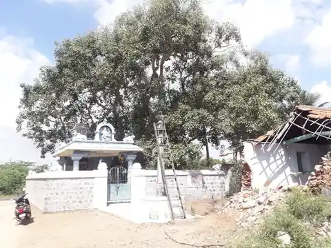 Arulmigu Aladivianayagar Temple, Ugayanur - 641605 அருள்மிகு ஆலடிவிநாயகர் திருக்கோயில், Ugayanur - 641605, Tiruppur - Ancient Temple Architecture and History Image 5