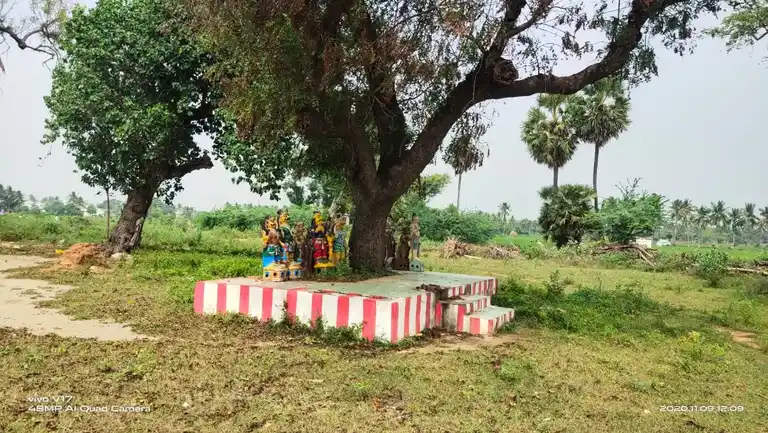 Arulmigu Aladiyamman Temple, Annavasal, Iluppur Taluk - 622101 அருள்மிகு ஆலடியம்மன் திருக்கோயில், அன்னவாசல், இலுப்பூர் வட்டம் - 622101, Pudukkottai - Ancient Temple Architecture and History Image 5