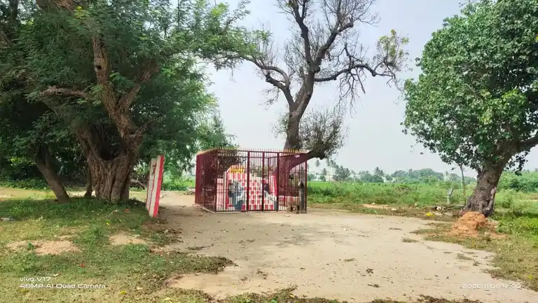 Arulmigu Aladiyamman Temple, Annavasal, Iluppur Taluk - 622101 அருள்மிகு ஆலடியம்மன் திருக்கோயில், அன்னவாசல், இலுப்பூர் வட்டம் - 622101, Pudukkottai - Ancient Temple Architecture and History Image 7