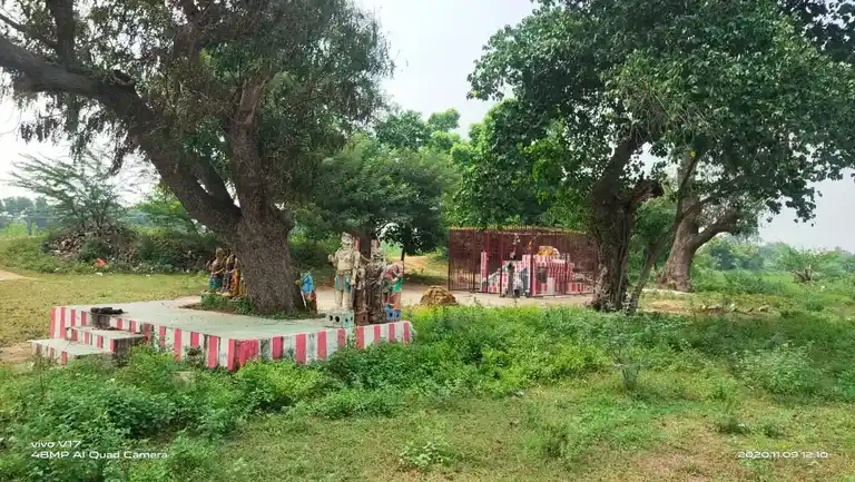 Arulmigu Aladiyamman Temple, Annavasal, Iluppur Taluk - 622101 அருள்மிகு ஆலடியம்மன் திருக்கோயில், அன்னவாசல், இலுப்பூர் வட்டம் - 622101, Pudukkottai - Ancient Temple Architecture and History Image 9