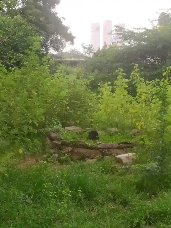 Arulmigu Aladiyamman Temple, Nallur - 641606 அருள்மிகு ஆலடியம்மன் திருக்கோயில், Nallur - 641606, Tiruppur - Ancient Temple Architecture and History Image 3