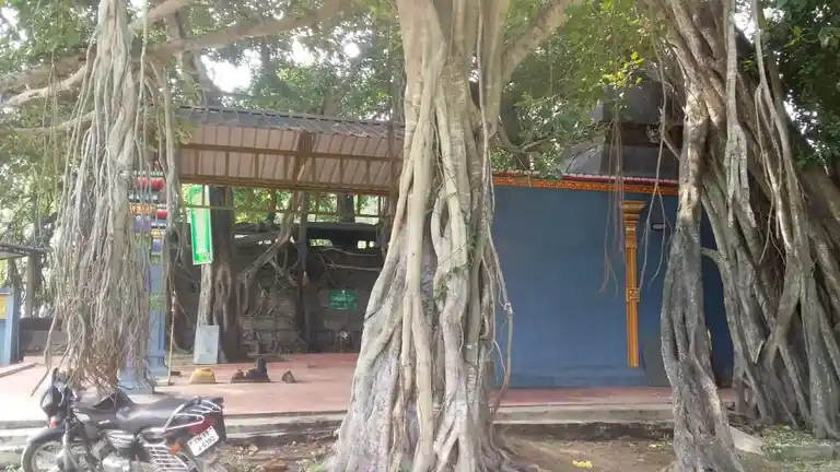 Arulmigu Aladiyamman Temple, Pattipulam - 603104 அருள்மிகு ஆலடியம்மன் திருக்கோயில், பட்டிபுலம் கிராமம் - 603104, Chengalpattu - Ancient Temple Architecture and History Image 2