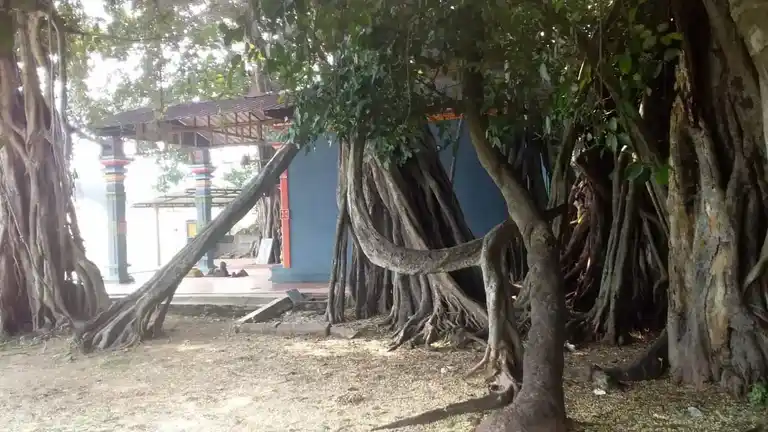 Arulmigu Aladiyamman Temple, Pattipulam - 603104 அருள்மிகு ஆலடியம்மன் திருக்கோயில், பட்டிபுலம் கிராமம் - 603104, Chengalpattu - Ancient Temple Architecture and History Image 6