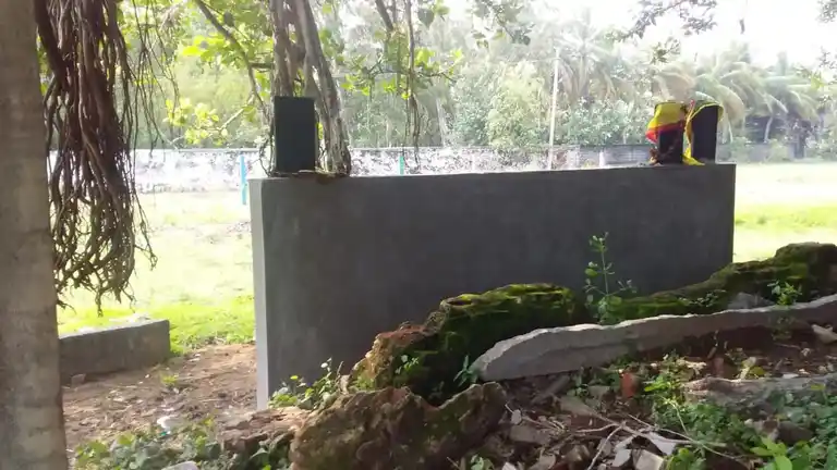 Arulmigu Aladiyamman Temple, Pattipulam - 603104 அருள்மிகு ஆலடியம்மன் திருக்கோயில், பட்டிபுலம் கிராமம் - 603104, Chengalpattu - Ancient Temple Architecture and History Image 8