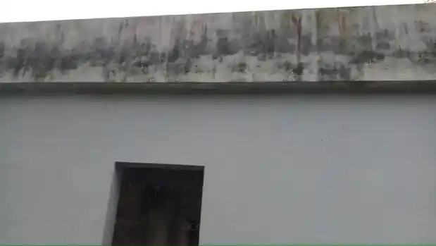 Arulmigu Alagamman Temple, Near Library, Gnalam - 629851 அருள்மிகு அழகம்மன் திருக்கோயில், Near Library, Gnalam - 629851, Kanyakumari - Ancient Temple Architecture and History Image 3