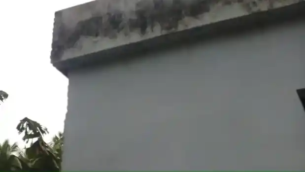 Arulmigu Alagamman Temple, Near Library, Gnalam - 629851 அருள்மிகு அழகம்மன் திருக்கோயில், Near Library, Gnalam - 629851, Kanyakumari - Ancient Temple Architecture and History Image 4