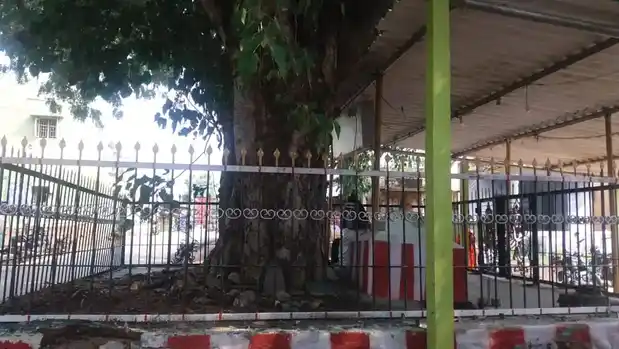 Arulmigu Alagapuri Vinayagar Temple, Alagapuri - 624201 அருள்மிகு அழகாபுரி விநாயகர் கோயில், Alagapuri - 624201, Dindigul - Ancient Temple Architecture and History Image 2