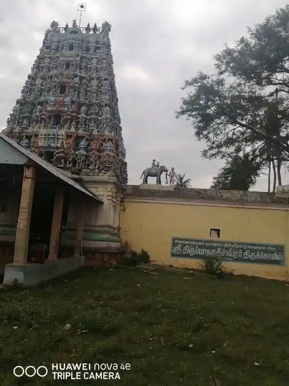 Arulmigu Alagiaya Nayagi Amman Temple, Ko.Alagapuri - 630001 Arulmigu Alagiaya Nayagi Amman Temple, .கோ,அழகாபுரி - 630001, Sivagangai - Ancient Temple Architecture and History Image 2