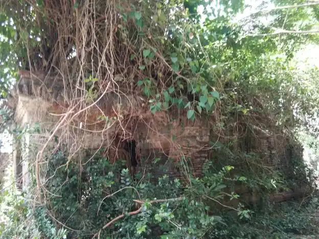 Arulmigu Alagiyamanavazha Ayyanar Temple, Kilvelur - 611104 Temple