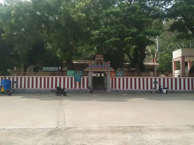 Arulmigu Alagu Natchi Amman Temple, Palani - 624601