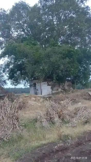 Arulmigu Alagu Natchiamman, Vinayagar Temple, Papampatti - 624621 அருள்மிகு சக்தி விநாயகர் திருக்கோயில், Papampatti - 624621, Dindigul - Ancient Temple Architecture and History Image 5