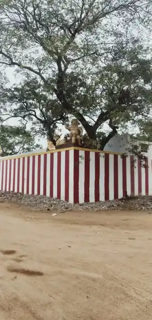 Arulmigu Alagu Parvithi Amman Temple, -, Surandai - 627589 அருள்மிகு அழகு பார்வதியம்மன் திருக்கோயில், -, Surandai - 627589, Tenkasi - Ancient Temple Architecture and History Image 2