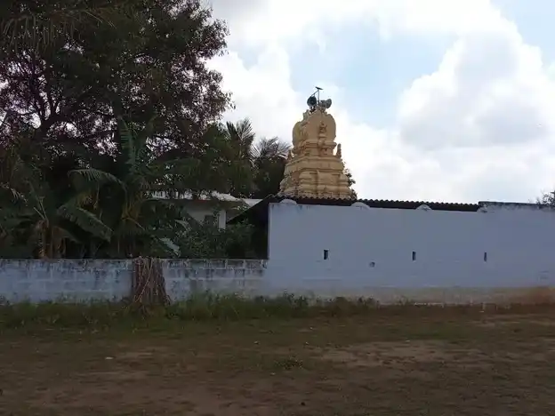 Arulmigu Alagunachiamman Temple, Sevur - 641655 அருள்மிகு அழகுநாச்சியம்மன் திருக்கோயில், Sevur - 641655, Tiruppur - Ancient Temple Architecture and History Image 2