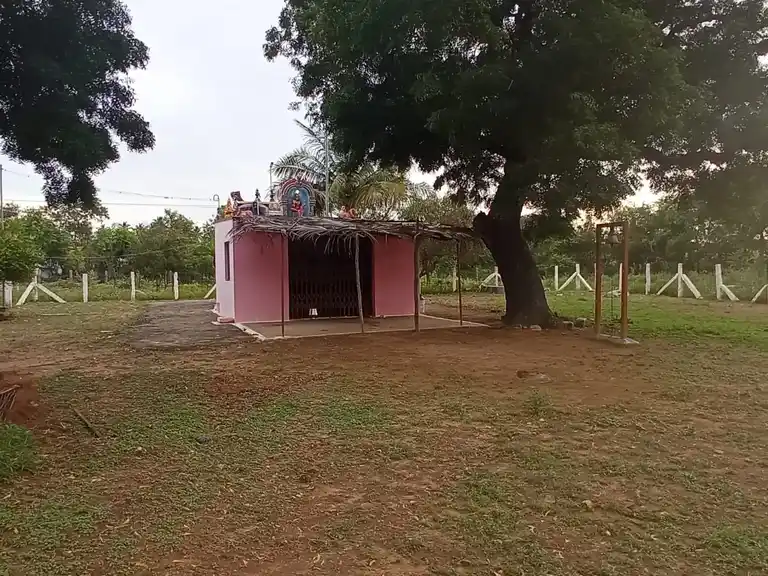 Arulmigu Alagunachiamman Temple, Thathanur - 641655 அருள்மிகு அழகுநாச்சியம்மன் திருக்கோயில், Thathanur - 641655, Tiruppur - Ancient Temple Architecture and History Image 2