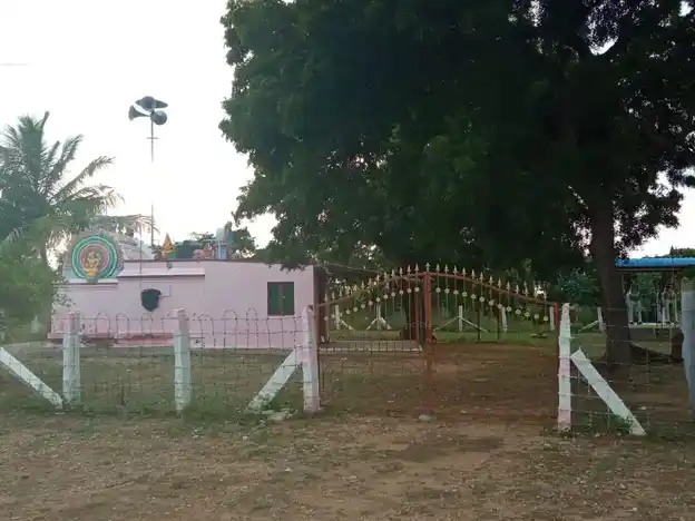 Arulmigu Alagunachiamman Temple, Thathanur - 641655 அருள்மிகு அழகுநாச்சியம்மன் திருக்கோயில், Thathanur - 641655, Tiruppur - Ancient Temple Architecture and History Image 4