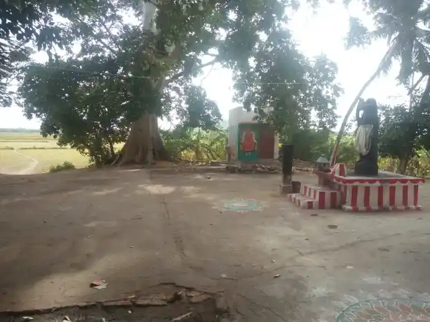 Arulmigu Alagunachiamman Temple, Vilachery - 625006 அழகுநாச்சியம்மன் திருக்கோயில், Vilachery - 625006, Madurai - Ancient Temple Architecture and History Image 4