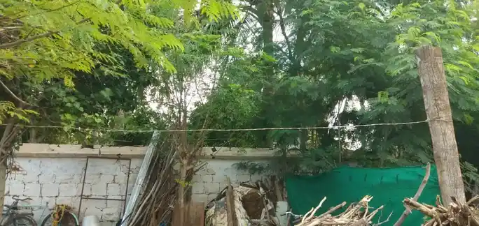 Arulmigu Alakurajaperumal Temple, Panchapatti - 639119 அருள்மிகு அழகுராஜப்பெருமாள் திருக்கோயில், Panchapatti - 639119, Karur - Ancient Temple Architecture and History Image 4