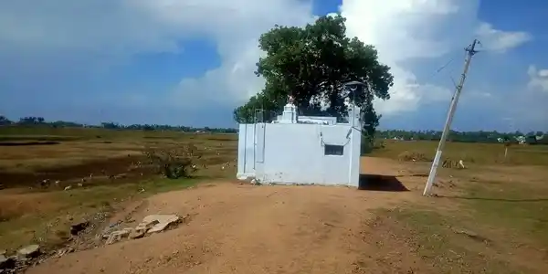 Arulmigu Alangaraselviamman Temple, Village East Side, Naduvakurichi - 627351 அருள்மிகு ஸ்ரீ அலங்கார செல்வியம்மன் திருக்கோயில், Village East Side, நடுவ குறிச்சி - 627351, Tirunelveli - Ancient Temple Architecture and History Image 3