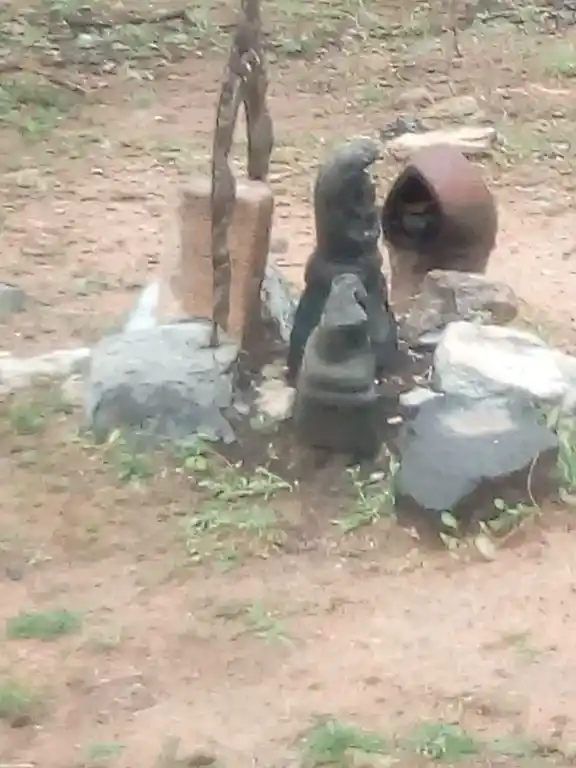 Arulmigu Alangariamman Temple, Singakodendal Kanmaai, K.Marudhapuram - 627756 அருள்மிகு அலங்காரியம்மன் திருக்கோயில், Singakodendal Kanmaai, K.Marudhapuram - 627756, Tenkasi - Ancient Temple Architecture and History Image 2