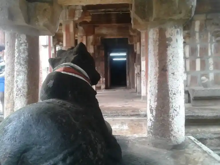 Arulmigu Alazhiyamuneeswarar Temple, Alagapuri - 630566 அருள்மிகு அழகியமுனீஸ்வரர் திருக்கோயில், Alagapuri - 630566, Sivagangai - Ancient Temple Architecture and History Image 4