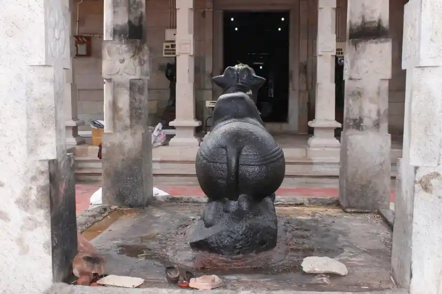 Arulmigu Alimanikandeswarar Temple, Idaikattur - 630602 Temple