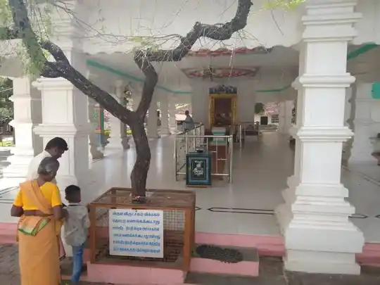 Arulmigu Alukusamy Temple, வேட்டைக்காரன்புதூர், Vettaikaranputhur - 642129 அருள்மிகு அழுக்குசாமி திருக்கோயில், வேட்டைக்காரன்புதூர், வேட்டைக்காரன்புதூர் - 642129, Coimbatore - Ancient Temple Architecture and History Image 4