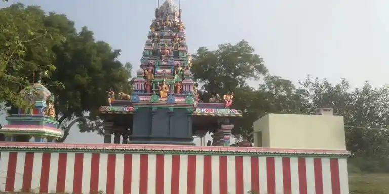Arulmigu Amachiyar Temple, Near Kanmai, Thachagudi - 626138 அருள்மிகு அமச்சியார் திருக்கோயில், கண்மாய் அருகில், தச்சகுடி கிராமம் - 626138, Virudhunagar - Ancient Temple Architecture and History Image 5