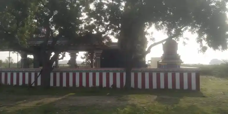 Arulmigu Amachiyar Temple, Near Kanmai, Thachagudi - 626138 அருள்மிகு அமச்சியார் திருக்கோயில், கண்மாய் அருகில், தச்சகுடி கிராமம் - 626138, Virudhunagar - Ancient Temple Architecture and History Image 6